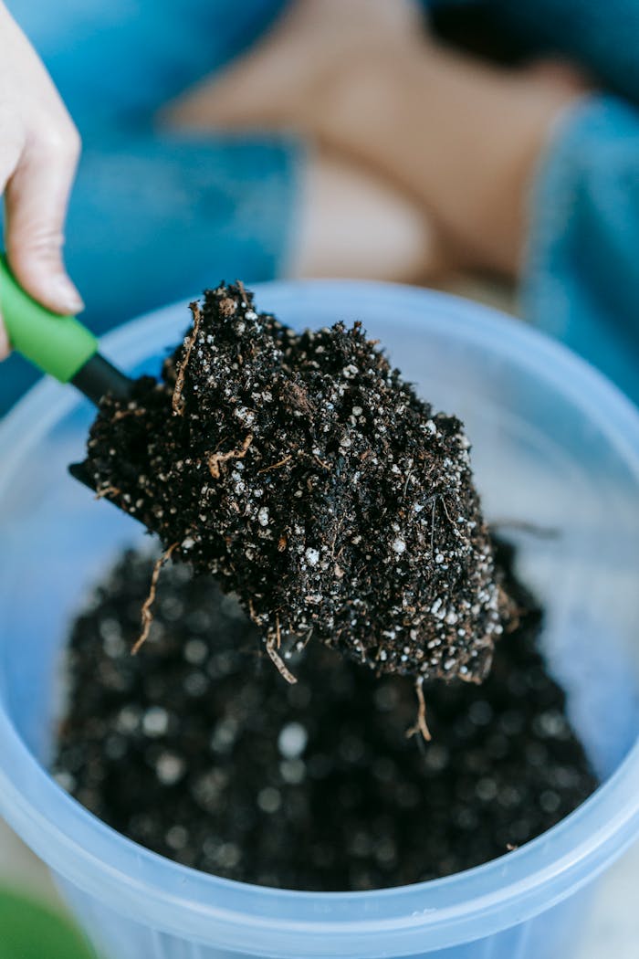 Close-up of soil being scooped with a trowel for gardening purposes.