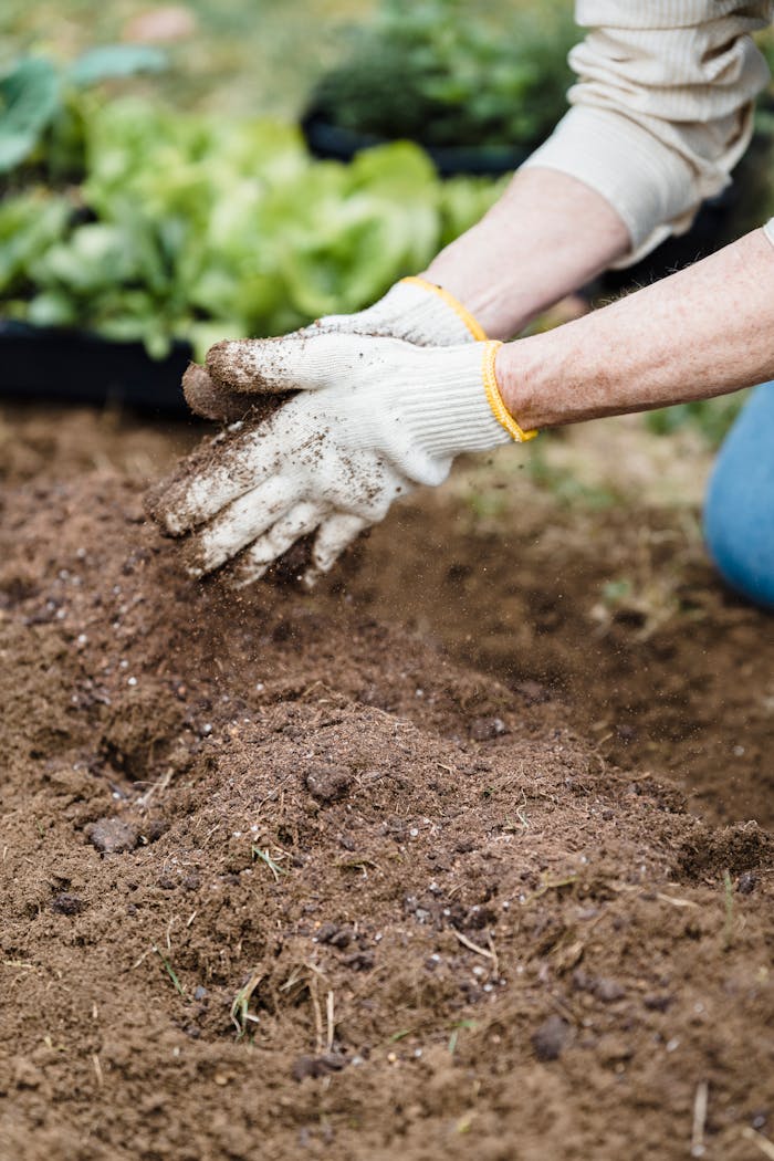 Close-up of a gardener's hands in gloves preparing soil for planting outdoors.